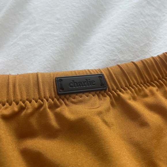 Charlie by MZ Liquid Body Brief - New, Never Worn - Small - Picture 3 of 3